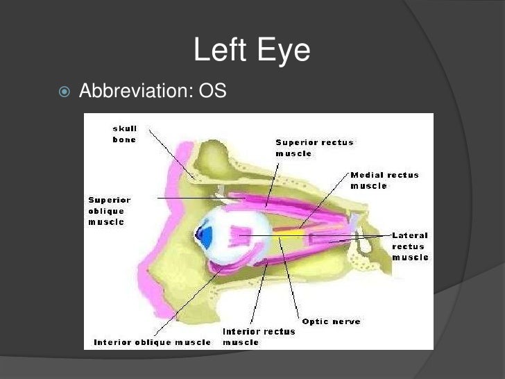 Abbreviations And Their Meanings