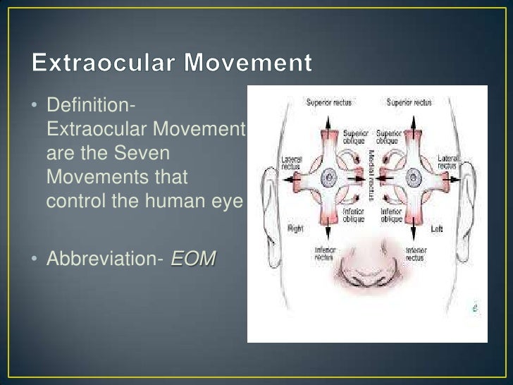 Abbreviations of the eye and ear chapter 13