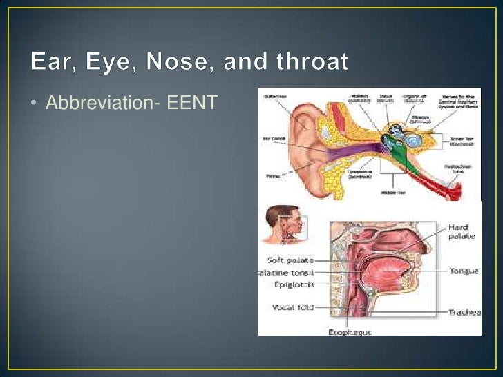 Abbreviations of the eye and ear chapter 13