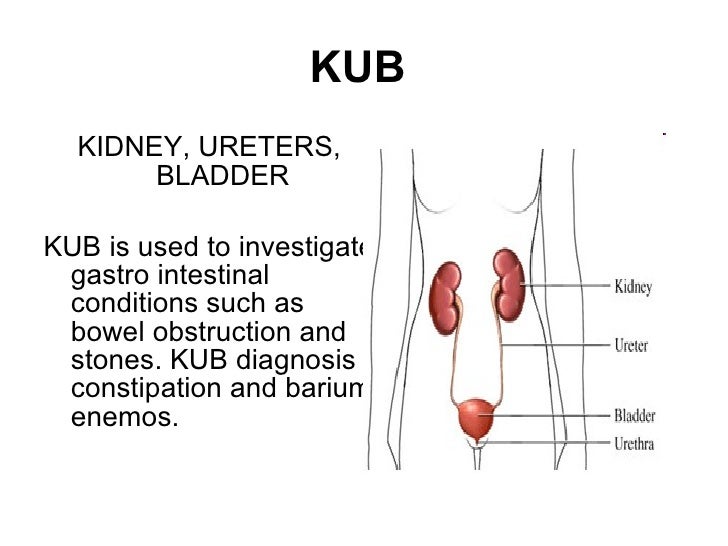 Abbreviations report