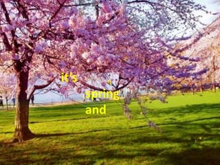 it’s         spring         and 