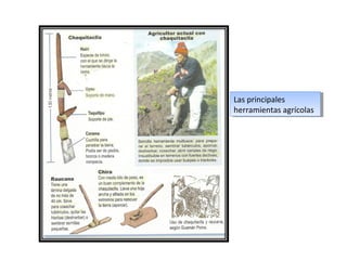 Las principales
Las principales
herramientas agrícolas
herramientas agrícolas

 