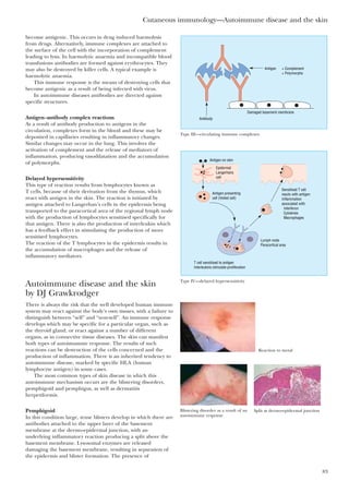 Cutaneous immunology—Autoimmune disease and the skin
83
become antigenic. This occurs in drug induced haemolysis
from drugs. Alternatively, immune complexes are attached to
the surface of the cell with the incorporation of complement
leading to lysis. In haemolytic anaemia and incompatible blood
transfusions antibodies are formed against erythrocytes. They
may also be destroyed by killer cells. A typical example is
haemolytic anaemia.
This immune response is the means of destroying cells that
become antigenic as a result of being infected with virus.
In autoimmune diseases antibodies are directed against
specific structures.
Antigen–antibody complex reactions
As a result of antibody production to antigens in the
circulation, complexes form in the blood and these may be
deposited in capillaries resulting in inflammatory changes.
Similar changes may occur in the lung. This involves the
activation of complement and the release of mediators of
inflammation, producing vasodilatation and the accumulation
of polymorphs.
Delayed hypersensitivity
This type of reaction results from lymphocytes known as
T cells, because of their derivation from the thymus, which
react with antigen in the skin. The reaction is initiated by
antigen attached to Langerhan’s cells in the epidermis being
transported to the paracortical area of the regional lymph node
with the production of lymphocytes sensitised specifically for
that antigen. There is also the production of interleukin which
has a feedback effect in stimulating the production of more
sensitised lymphocytes.
The reaction of the T lymphocytes in the epidermis results in
the accumulation of macrophages and the release of
inflammatory mediators.
Autoimmune disease and the skin
by DJ Grawkrodger
There is always the risk that the well developed human immune
system may react against the body’s own tissues, with a failure to
distinguish between “self” and “non-self”. An immune response
develops which may be specific for a particular organ, such as
the thyroid gland, or react against a number of different
organs, as in connective tissue diseases. The skin can manifest
both types of autoimumme response. The results of such
reactions can be destruction of the cells concerned and the
production of inflammation. There is an inherited tendency to
autoimmune disease, marked by specific HLA (human
lymphocyte antigen) in some cases.
The most common types of skin disease in which this
autoimmune mechanism occurs are the blistering disorders,
pemphigoid and pemphigus, as well as dermatitis
herpetiformis.
Pemphigoid
In this condition large, tense blisters develop in which there are
antibodies attached to the upper layer of the basement
membrane at the dermo-epidermal junction, with an
underlying inflammatory reaction producing a split above the
basement membrane. Lysosomal enzymes are released
damaging the basement membrane, resulting in separation of
the epidermis and blister formation. The presence of
Antigen + Complement
+ Polymorphs
Antibody
Damaged basement membrane
Type III—circulating immune complexes
Lymph node
Paracortical area
Sensitised T cell
reacts with antigen
Inflammation
associated with:
Interferon
Cytokines
Macrophages
Antigen on skin
Antigen presenting
cell (Veiled cell)
T cell sensitised to antigen
Interleukins stimulate proliferation
Epidermal
Langerhans
cell
Type IV—delayed hypersensitivity
Reaction to metal
Blistering disorder as a result of an
autoimmune response
Split at dermo-epidermal junction
 