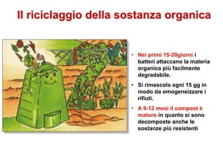Il riciclaggio della sostanza organica
• Nei primi 15-20giorni i
batteri attaccano la materia
organica più facilmente
degradabile.
• Si rimescola ogni 15 gg in
modo da omogeneizzare i
rifiuti.
• A 9-12 mesi il compost è
maturo in quanto si sono
decomposte anche le
sostanze più resistenti
 