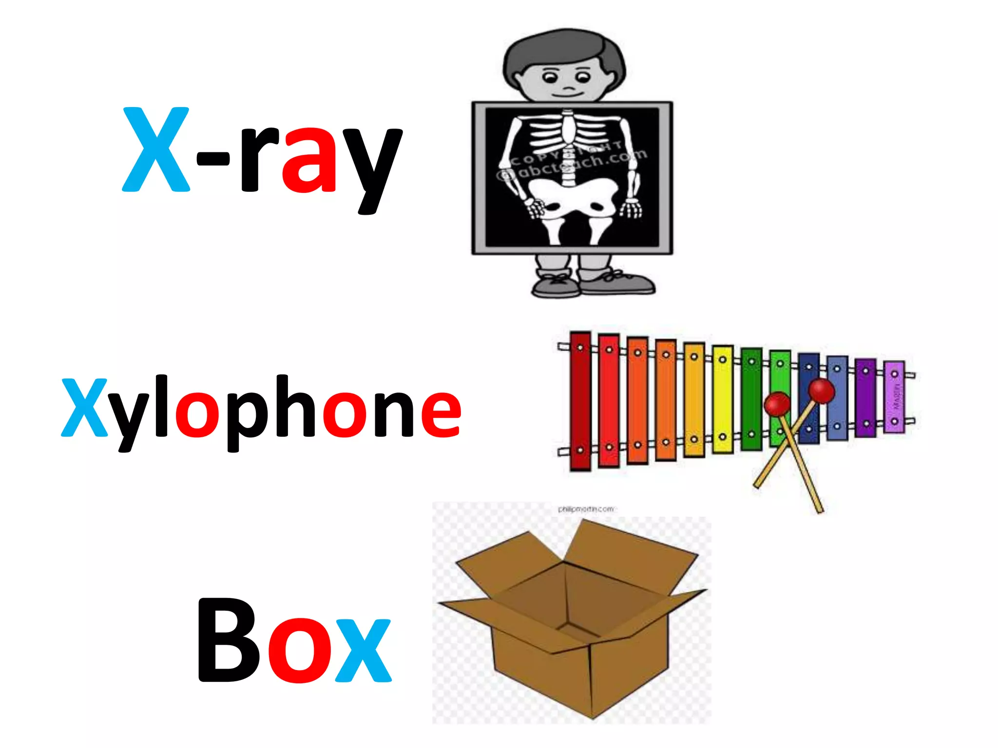 X-ray
Box
Xylophone
 