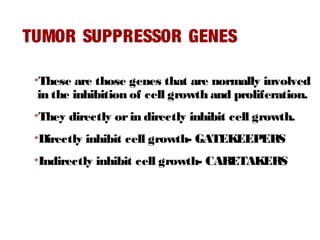 TUMOR SUPPRESSOR GENES
•These are those genes that are normally involved
in the inhibition of cell growth and proliferation.
•They directly orin directly inhibit cell growth.
•Directly inhibit cell growth- GATEKEEPERS
•Indirectly inhibit cell growth- CARETAKERS
 