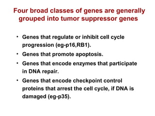 Four broad classes of genes are generally
grouped into tumor suppressor genes
• Genes that regulate or inhibit cell cycle
progression (eg-p16,RB1).
• Genes that promote apoptosis.
• Genes that encode enzymes that participate
in DNA repair.
• Genes that encode checkpoint control
proteins that arrest the cell cycle, if DNA is
damaged (eg-p35).
 