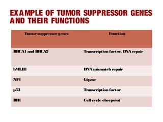 EXAMPLE OF TUMOR SUPPRESSOR GENES
AND THEIR FUNCTIONS
Tumorsuppressor genes Function
BRCA1 and BRCA2 Transcription factor, DNA repair
hMLH1 DNA mismatch repair
NF1 Gtpase
p53 Transcription factor
RB1 Cell cycle checpoint
 