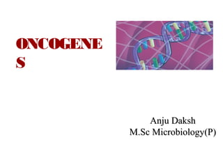 ONCOGENE
S
Anju DakshAnju Daksh
M.Sc Microbiology(P)M.Sc Microbiology(P)
 
