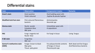 Stain Defect Definition laboratory diagnosis of fungal inections | PPTX