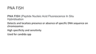 Pna Fish laboratory diagnosis of fungal inections | PPTX