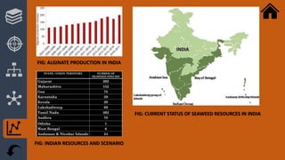 FIG: INDIAN RESOURCES AND SCENARIO
FIG: CURRENT STATUS OF SEAWEED RESOURCES IN INDIA
FIG: ALGINATE PRODUCTION IN INDIA
 