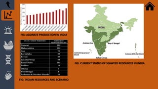 FIG: INDIAN RESOURCES AND SCENARIO
FIG: CURRENT STATUS OF SEAWEED
RESOURCES IN INDIA
FIG: ALGINATE PRODUCTION IN INDIA
 