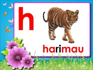 BBM Abc bergambar | PPT