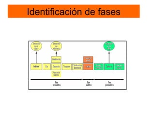Identificación de fases
 