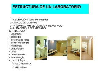 ESTRUCTURA DE UN LABORATORIO


 1- RECEPCIÓN/ toma de muestras
 2-LAVADO DE MATERIAL
 3- PREPARACIÓN DE MEDIOS Y REACTIVOS
 4- ALMACEN Y REFRIGERADO
5- TRABAJO:
- urgencias
- serología
- autoanalizadores
- banco de sangre
- hormonas
- coagulación
- orina
- hematimetría
- inmunología
- microbiología
    6- SECRETARIA
  7- REUNIÓN
 
