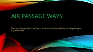 AIR PASSAGE WAYS
The parts through which air from outside enters body and after exchange of gases
it goes outside.
 