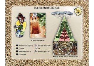 ELECCIÓN DEL SUELO
Suelo Favorable
Profundidad Efectiva Riqueza del Suelo
Textura pH
Materia Orgánica Analisis del Suelo
Estructura
Agua, Aire y Sustancias Minerales
 