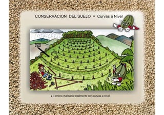CONSERVACION DEL SUELO = Curvas a Nivel
Terreno marcado totalmente con curvas a nivel
 