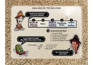 ANALISIS DE TECNOLOGIA
Tecnologia : Baja = 6 a 15 qq / ha
Media = 16 a 40 qq / ha
Alta = Mas de 40
Curvas a Nivel
Cultivos de Contensión
Sombra Permanente
Cobertura del Suelo
Control de Malas Yerbas
 