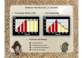 El Abonamiento
El Manejo de los Tallos
La Lotización de la Chacra
El Control de Plagas
MANEJO TECNICO DE LA CHACRA
Tecnología Media y Alta Tecnologia Baja
Factores del Manejo
 