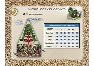 MANEJO TECNICO DE LA CHACRA
EL Abonamiento
Agua
Aire
 