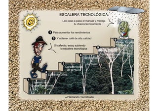 ESCALERA TECNOLÓGICA
Manejo de la
Chacra Tradicional
Efecto del Clima
Instalación
de Plantaciones
Nuevas
Manejo Técnico
de la Chacra
Características
de la Planta
Característica
s
del Suelo
Plantación Tecnificada
Lee paso a paso el manual y maneja
tu chacra técnicamente :
Si cafecito, estoy subiendo
la escalera tecnológica
Para aumentar los rendimientos
Y obtener café de alta calidad
 