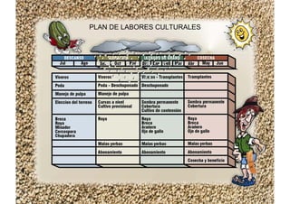 PLAN DE LABORES CULTURALES
 