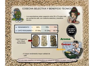COSECHA SELECTIVA Y BENEFICIO TECNICO
- Los exportadores estan pagando entre 50 a 70 soles más
por quintal de café, con cosecha selectiva y beneficio
técnico
Con una mala cosecha y un mal beneficio se malogra la calidad y te pagan menos por tu café
RENDIMIENTO = 80% 75% 70%
CAFÉ PERGAMINO = 57.50kg 61.30kg 65.70kg
Café Pergamino
Con mayor
Rendimiento
- A mayor rendimiento mayor calidad de
café
 