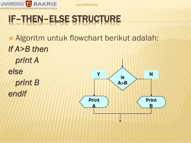 Gambar Algoritma Pemrograman Flowchart Logika 12 Contoh Percabangan 2 ...