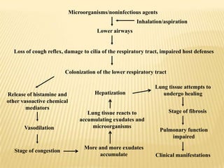 Microorganisms/noninfectious agentsInhalation/aspirationLower airwaysLoss of cough reflex, damage to cilia of the respiratory tract, impaired host defensesColonization of the lower respiratory tractLung tissue attempts to undergo healingHepatizationRelease of histamine and other vasoactive chemical mediators Stage of fibrosisLung tissue reacts to accumulating exudates and  microorganismsVasodilationPulmonary function impairedMore and more exudates accumulateStage of congestionClinical manifestations 
