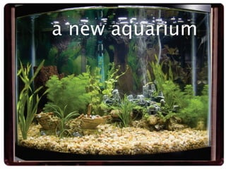 a new aquarium
 