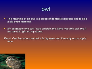 owl The meaning of an owl is a breed of domestic pigeons and is also a big eyed mammal My sentence:   one day I was outside and there was this owl and it my me fall right on my fanny. Facts: One fact about an owl it is big eyed and it mostly out at night time  