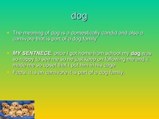 dog The meaning of dog is a domestically candid and also a carnivore that is part of a dog family’ MY SENTNECE : once I got home from school my  dog  was so happy to see me so he just keep on following me and it made me so upset that I put him in his cage Facts: it is an carnivore it is part of a dog family. 