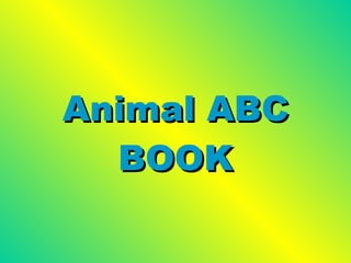 Animal ABC BOOK 