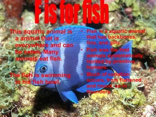 This aquatic animal is
a animal that is
everywhere and can
be eaten. Many
animals eat fish.
The fish is swimming
in his fish bowl.
• Fish is a aquatic animal
that has backbones,
fins, and gills.
• Fish was the first
animals systematically
hunted by primitive
humans.
• Much of variation
occurs, from flattened
and round, as in
flounders.
 