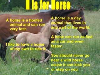 A horse is a hoofed
animal and can run
very fast.
I like to have a horse
of my own to ride it.
A horse is a day
animal that lives in
any part of the world.
A hose can run as fast
as a car and even
faster.
You should never go
near a wild horse
cause it can kick you
or step on you
 