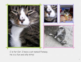 C is for Cat. I have a cat named Fenway.
He is a fun and silly kitty!

                                           3
 