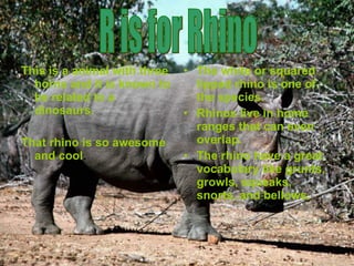 This is a animal with three horns and it is known to be related to a dinosaurs.  That rhino is so awesome and cool . The white or squared lipped rhino is one of the species. Rhinos live in home ranges that can even overlap. The rhino have a great vocabulary like grunts, growls, squeaks, snorts, and bellows. R is for Rhino 