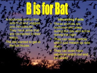 A nocturnal animal that eats fruit and veggies and (not people). They have arms that are connected to their wings. The bat wanted to get in the bat house. Interesting Facts These animals are nocturnal and sleep during the day and active during the night They can sleep vertical which just means up side down They can even have rabies so watch out and be careful B is for Bat 