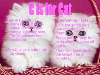 Cats are small domesticated flesh-eating animals that people keep for pets. These animals are nocturnal. My cat is very cute from up close. Interesting Facts Cats are some pets that are afraid of dogs. Some people may be even allergic cause all that fur. They can even climb the tallest tree in minutes. C is for Cat 