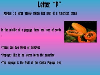 Letter “P” Papaya  : a large yellow melon like fruit of a American shrub  In the middle of a  papaya  there are tons of seeds . There are two types of papayas Papayas like to be warm form the sunshine The papaya is the fruit of the Carica Papaya tree  
