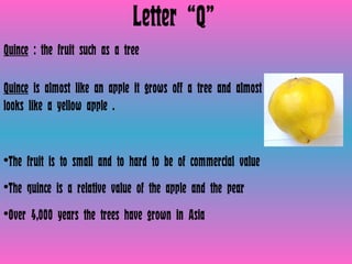 Letter “Q” Quince  : the fruit such as a tree  Quince  is almost like an apple it grows off a tree and almost looks like a yellow apple . The fruit is to small and to hard to be of commercial value The quince is a relative value of the apple and the pear  Over 4,000 years the trees have grown in Asia  