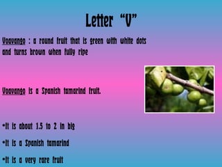 Letter “V” Voavango  : a round fruit that is green with white dots and turns brown when fully ripe Voavango  is a Spanish tamarind fruit.  It is about 1.5 to 2 in big It is a Spanish tamarind  It is a very rare fruit 