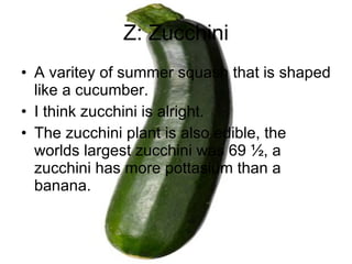 Z: Zucchini A varitey of summer squash that is shaped like a cucumber. I think zucchini is alright. The zucchini plant is also edible, the worlds largest zucchini was 69 ½, a zucchini has more pottasium than a banana. 