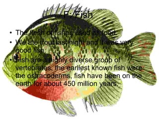 F: Fish  The flesh of fishes used as food. We ate trout last night and it was very good fish. Fish are a highly diverse group of vertebrates, the earliest known fish were the ostracoderms, fish have been on the earth for about 450 million years. 