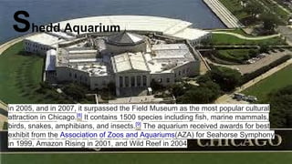 Shedd Aquarium
in 2005, and in 2007, it surpassed the Field Museum as the most popular cultural
attraction in Chicago.[8]
It contains 1500 species including fish, marine mammals,
birds, snakes, amphibians, and insects.[9]
The aquarium received awards for best
exhibit from the Association of Zoos and Aquariums(AZA) for Seahorse Symphony
in 1999, Amazon Rising in 2001, and Wild Reef in 2004
 