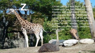 Lincoln Park Zoo
Lincoln park zoo was found in 1868.
Lincoln park zoo has mammals, birds,
Reptiles, and Amphibians. Lincoln
park zoo was there for 1,000 years.
Lincoln park zoo is one of the famous
zoo”s in the world. Lincoln park zoo is
a home for wild animals. Lincoln park
zoo has cats polar bears , penguins
and gorillas.
 