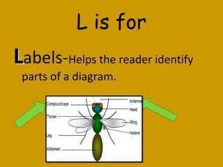 L is for
LLabels-Helps the reader identify
parts of a diagram.
 