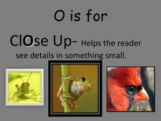 O is for
ClOOse Up- Helps the reader
see details in something small.
 